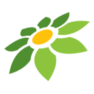 BU SALSA